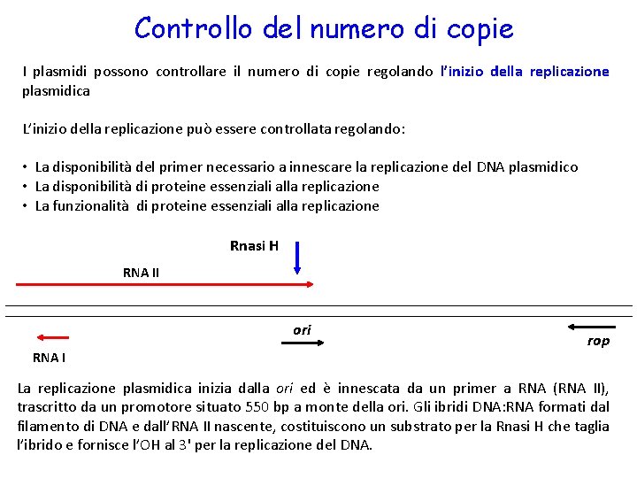Controllo del numero di copie I plasmidi possono controllare il numero di copie regolando