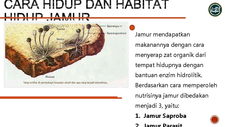 Jamur mendapatkan makanannya dengan cara menyerap zat organik dari tempat hidupnya dengan bantuan enzim