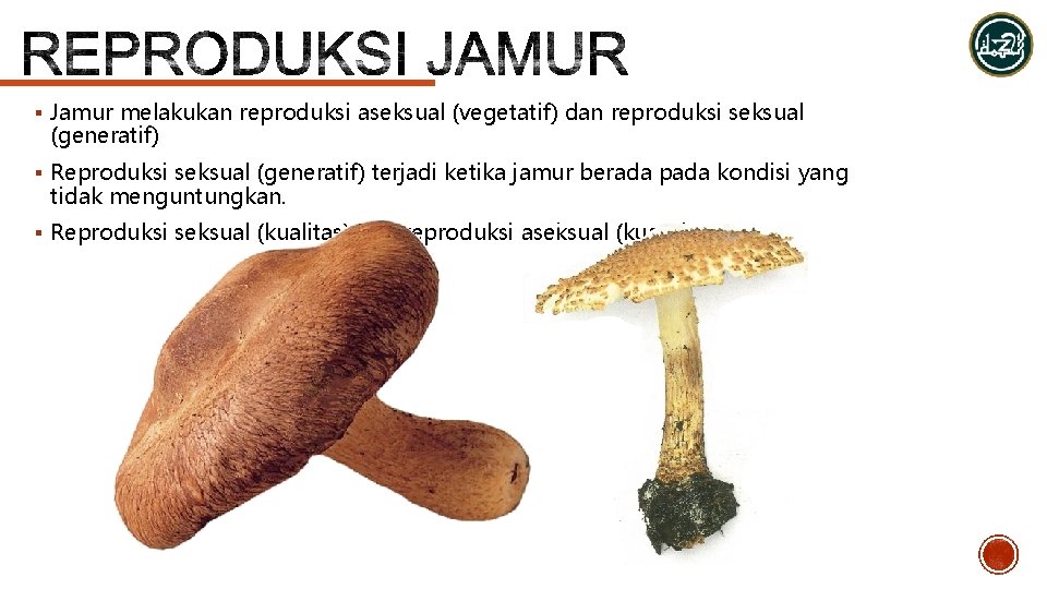 § Jamur melakukan reproduksi aseksual (vegetatif) dan reproduksi seksual (generatif) § Reproduksi seksual (generatif)
