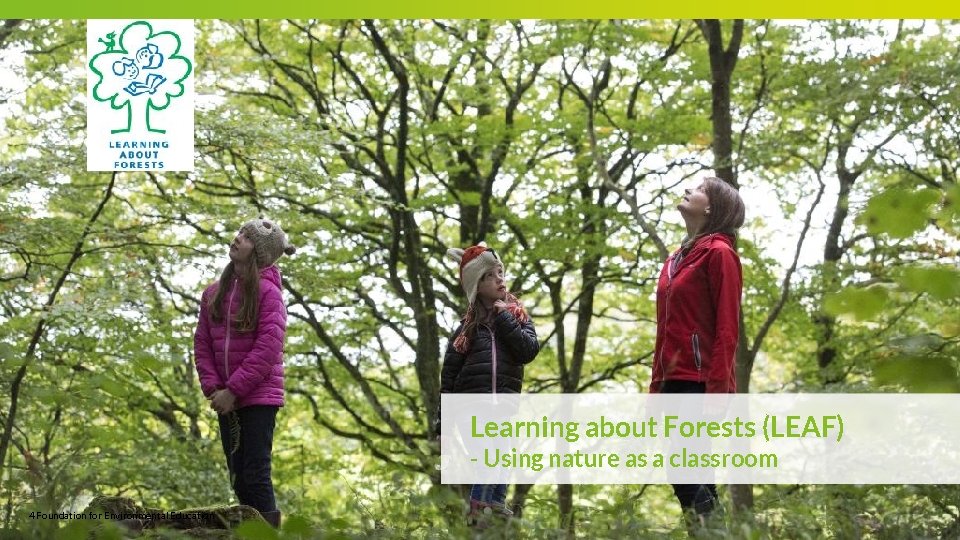 General Overview LEAF Programme Presentation About FEE One