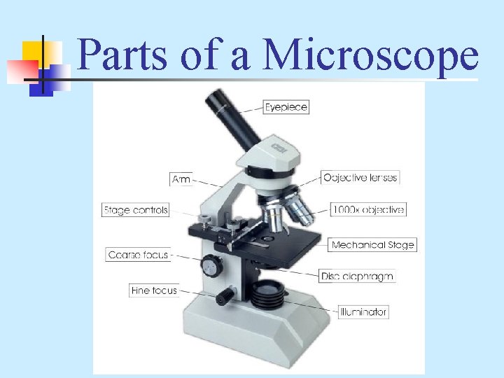 Parts of a Microscope 