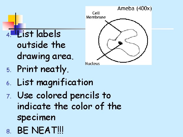 4. 5. 6. 7. 8. List labels outside the drawing area. Print neatly. List