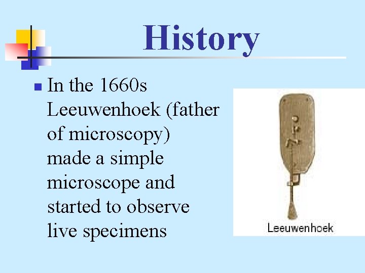 History n In the 1660 s Leeuwenhoek (father of microscopy) made a simple microscope