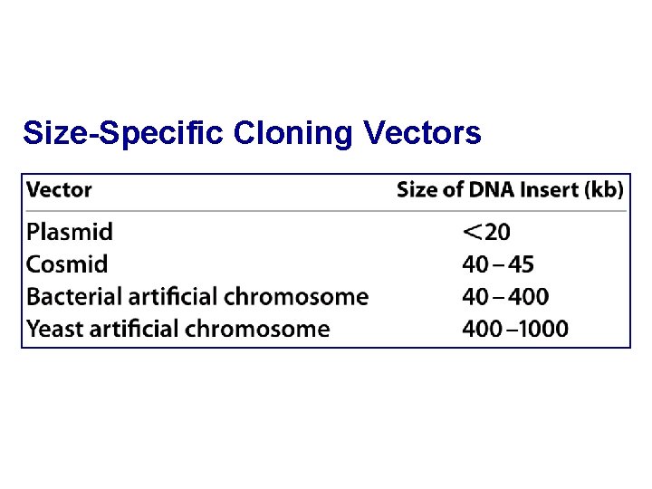 Size-Specific Cloning Vectors 