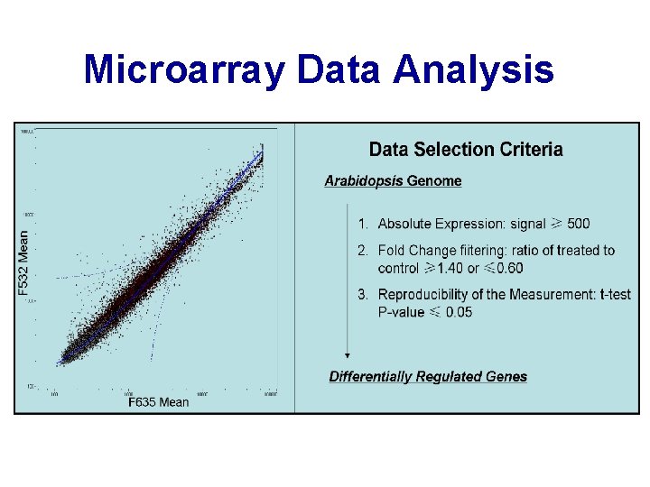 Microarray Data Analysis 