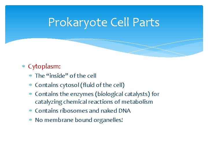 Prokaryote Cell Parts Cytoplasm: The “inside” of the cell Contains cytosol (fluid of the