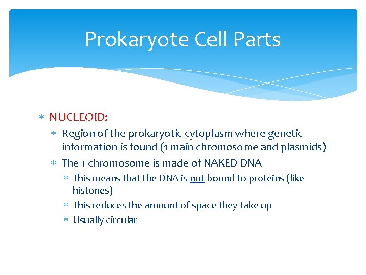 Prokaryote Cell Parts NUCLEOID: Region of the prokaryotic cytoplasm where genetic information is found