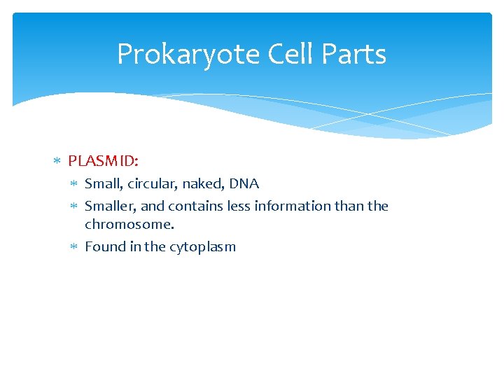 Prokaryote Cell Parts PLASMID: Small, circular, naked, DNA Smaller, and contains less information than