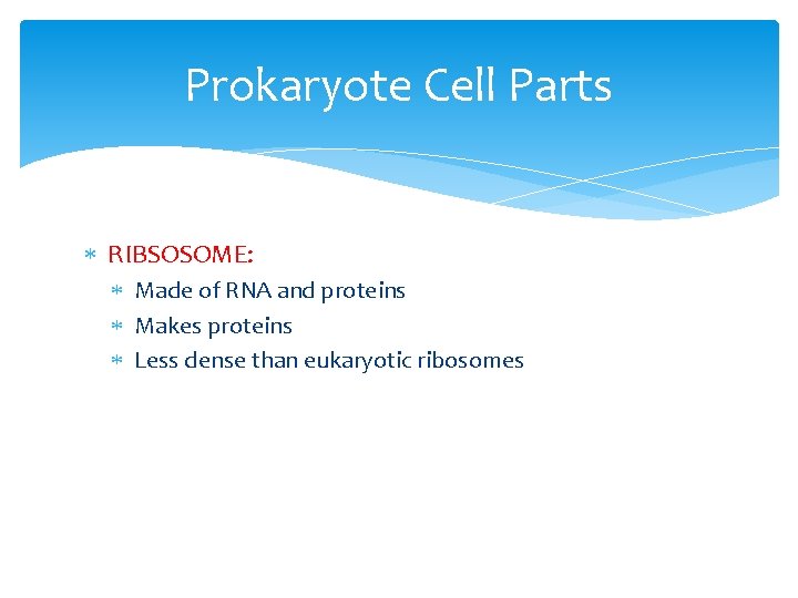 Prokaryote Cell Parts RIBSOSOME: Made of RNA and proteins Makes proteins Less dense than