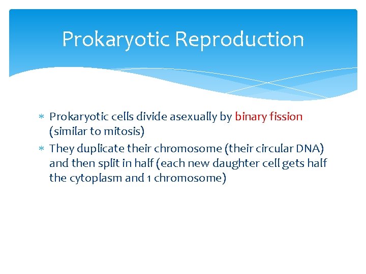 Prokaryotic Reproduction Prokaryotic cells divide asexually by binary fission (similar to mitosis) They duplicate