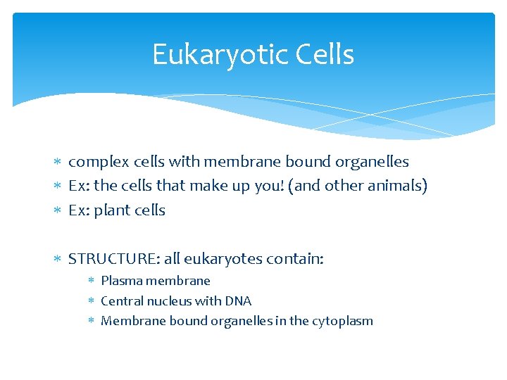 Eukaryotic Cells complex cells with membrane bound organelles Ex: the cells that make up