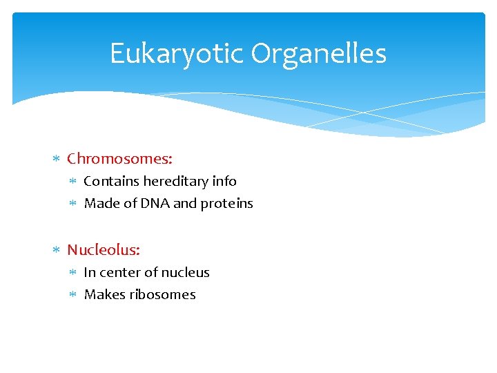 Eukaryotic Organelles Chromosomes: Contains hereditary info Made of DNA and proteins Nucleolus: In center