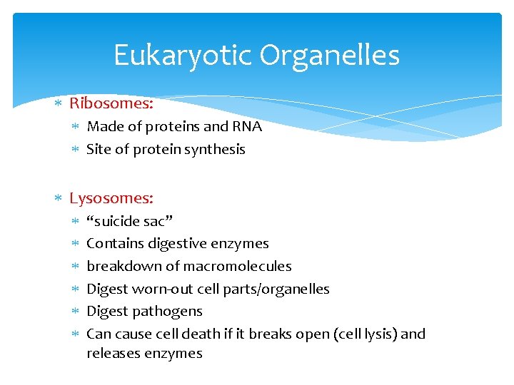 Eukaryotic Organelles Ribosomes: Made of proteins and RNA Site of protein synthesis Lysosomes: “suicide