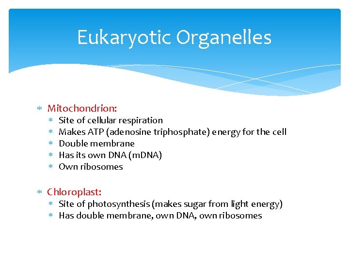 Eukaryotic Organelles Mitochondrion: Site of cellular respiration Makes ATP (adenosine triphosphate) energy for the