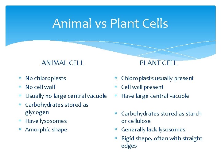 Animal vs Plant Cells ANIMAL CELL No chloroplasts No cell wall Usually no large
