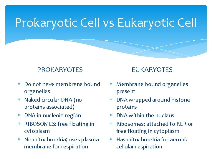 Prokaryotic Cell vs Eukaryotic Cell PROKARYOTES EUKARYOTES Do not have membrane bound organelles Naked