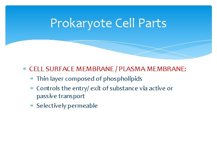 Prokaryote Cell Parts CELL SURFACE MEMBRANE / PLASMA MEMBRANE: Thin layer composed of phospholipids