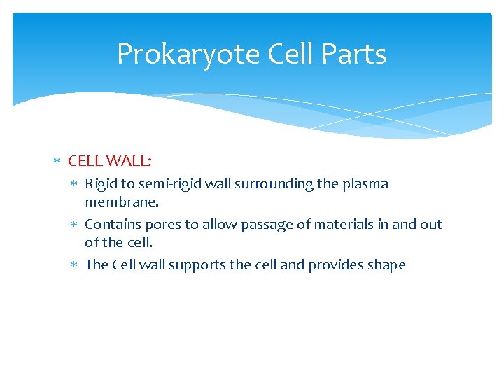 Prokaryote Cell Parts CELL WALL: Rigid to semi-rigid wall surrounding the plasma membrane. Contains