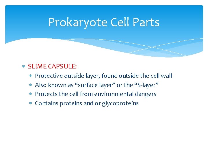 Prokaryote Cell Parts SLIME CAPSULE: Protective outside layer, found outside the cell wall Also