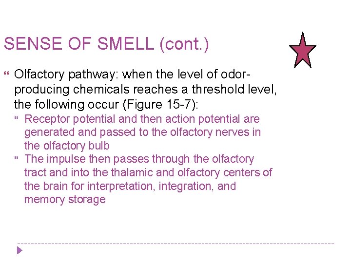 SENSE OF SMELL (cont. ) Olfactory pathway: when the level of odorproducing chemicals reaches