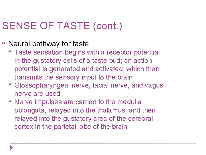 SENSE OF TASTE (cont. ) Neural pathway for taste Taste sensation begins with a