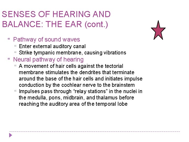 SENSES OF HEARING AND BALANCE: THE EAR (cont. ) Pathway of sound waves Enter