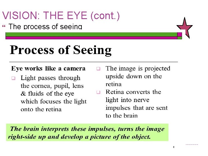 VISION: THE EYE (cont. ) The process of seeing 