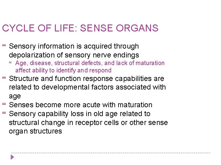 CYCLE OF LIFE: SENSE ORGANS Sensory information is acquired through depolarization of sensory nerve