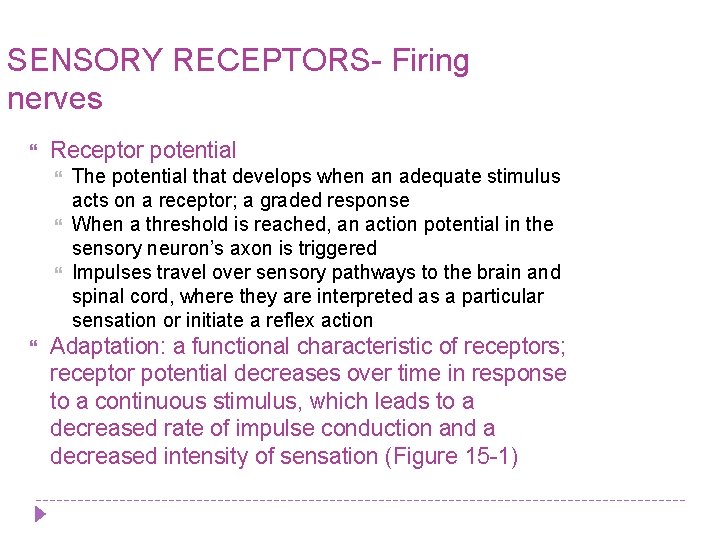 SENSORY RECEPTORS- Firing nerves Receptor potential The potential that develops when an adequate stimulus