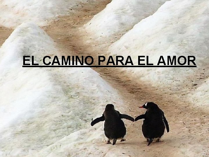 EL CAMINO PARA EL AMOR 