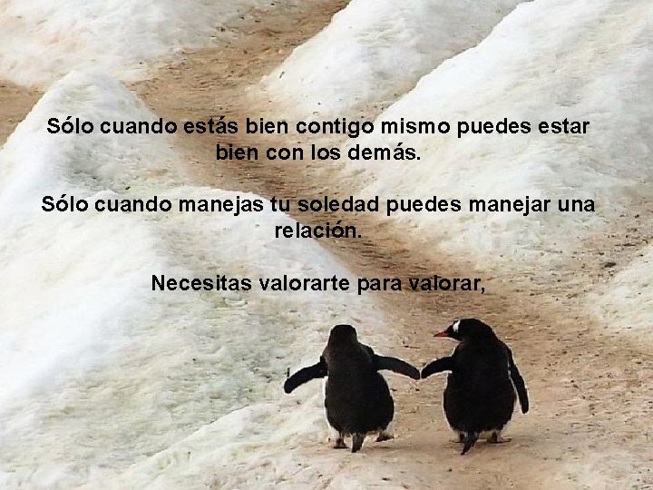 Sólo cuando estás bien contigo mismo puedes estar bien con los demás. Sólo cuando