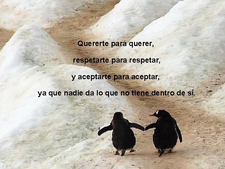 Quererte para querer, respetarte para respetar, y aceptarte para aceptar, ya que nadie da