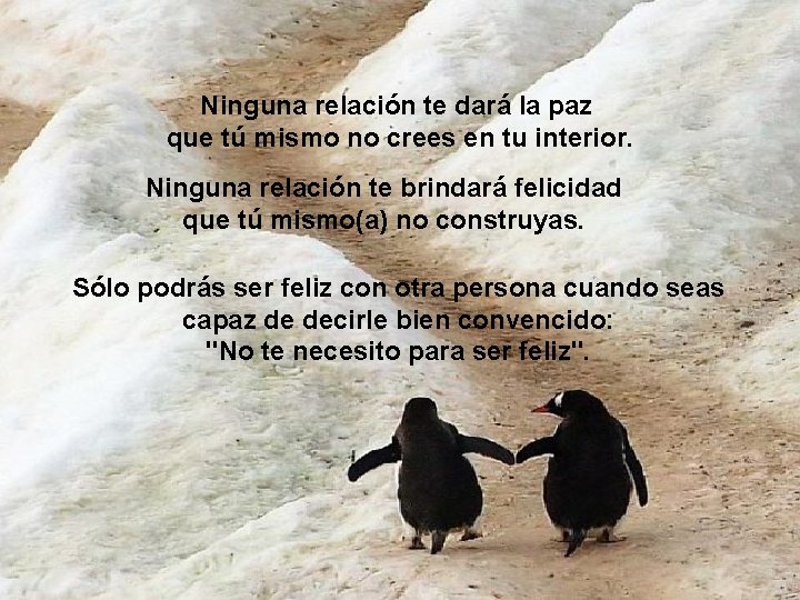 Ninguna relación te dará la paz que tú mismo no crees en tu interior.