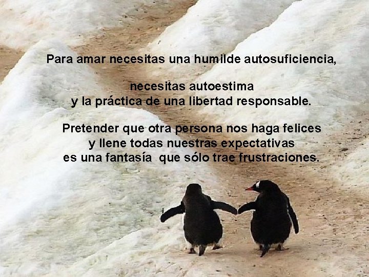 Para amar necesitas una humilde autosuficiencia, necesitas autoestima y la práctica de una libertad