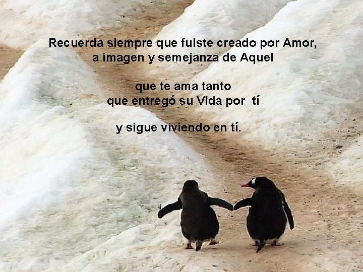 Recuerda siempre que fuiste creado por Amor, a imagen y semejanza de Aquel que