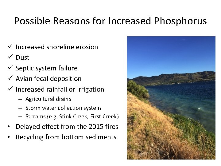 Possible Reasons for Increased Phosphorus ü ü ü Increased shoreline erosion Dust Septic system