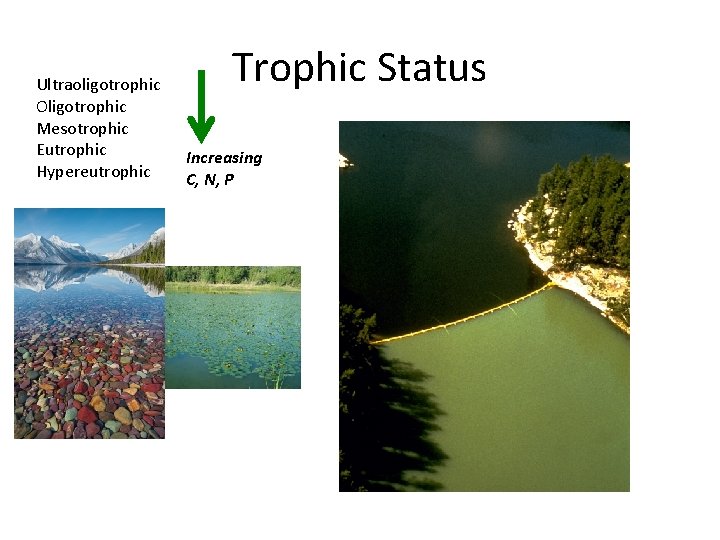 Ultraoligotrophic Oligotrophic Mesotrophic Eutrophic Hypereutrophic Trophic Status Increasing C, N, P 