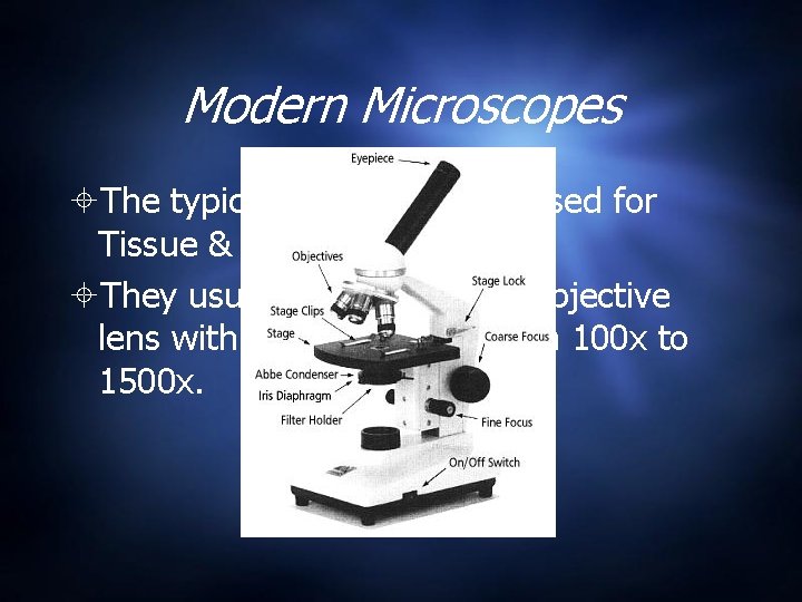 Modern Microscopes The typical lab microscope used for Tissue & Cell observations. They usually Modern Microscopes The typical lab microscope used for Tissue & Cell observations. They usually