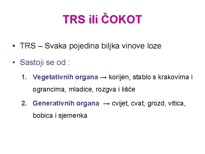 TRS ili ČOKOT • TRS – Svaka pojedina biljka vinove loze • Sastoji se