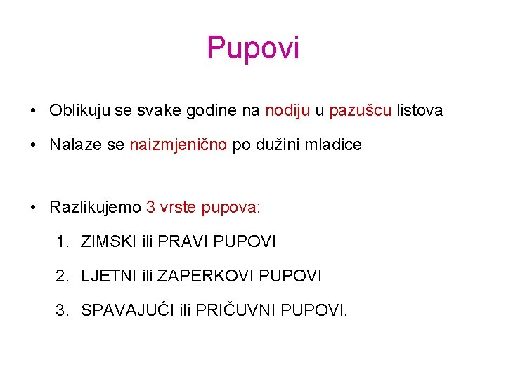 Pupovi • Oblikuju se svake godine na nodiju u pazušcu listova • Nalaze se