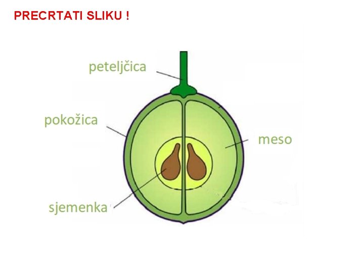 PRECRTATI SLIKU ! 