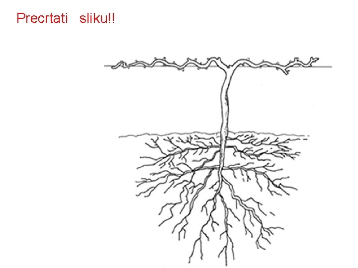 Precrtati sliku!! 