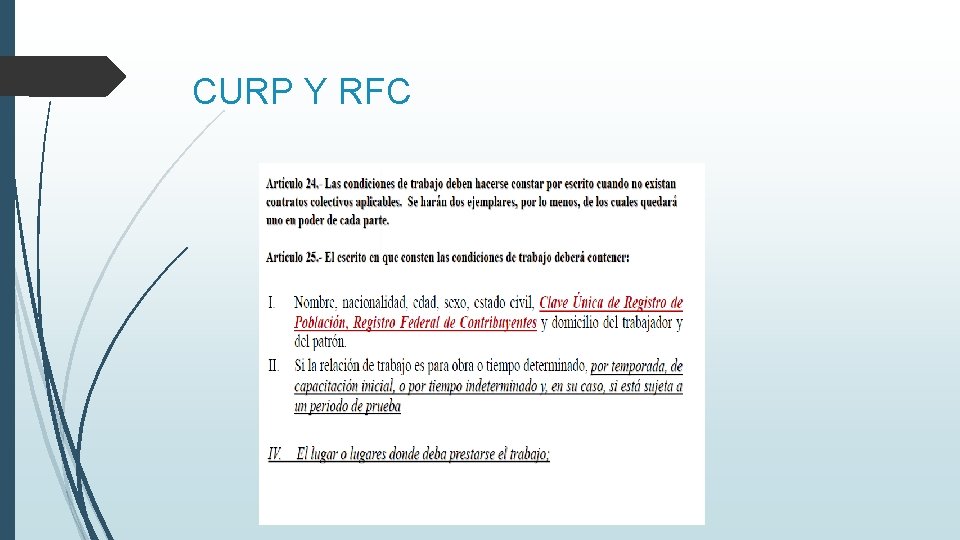 CURP Y RFC 