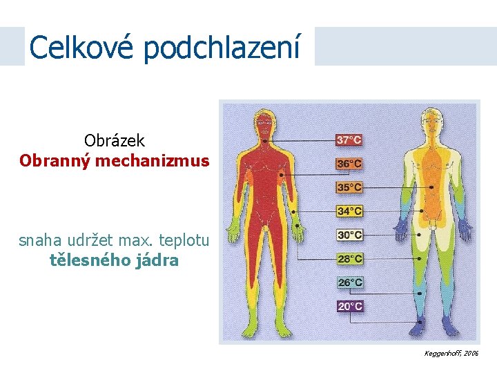 Celkové podchlazení Obrázek Obranný mechanizmus snaha udržet max. teplotu tělesného jádra Keggenhoff, 2006 