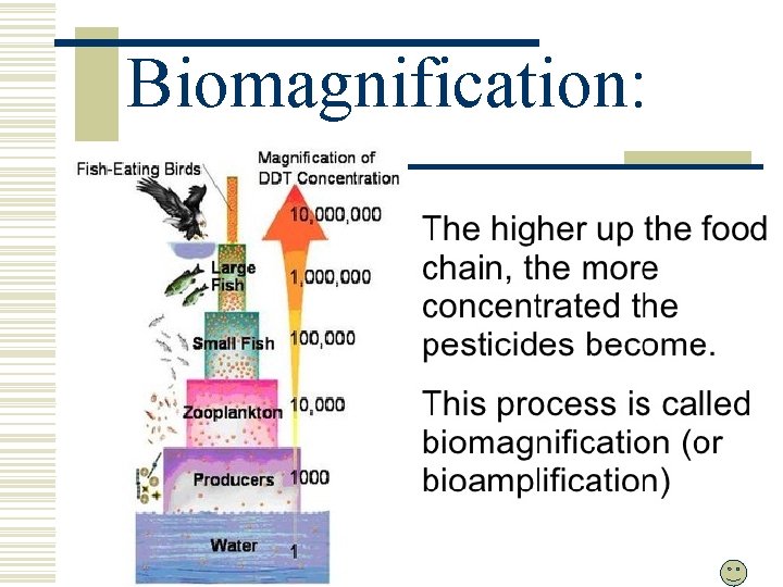 Biomagnification: 