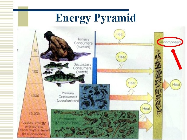 Energy Pyramid 