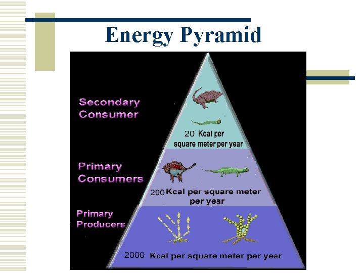 Energy Pyramid 
