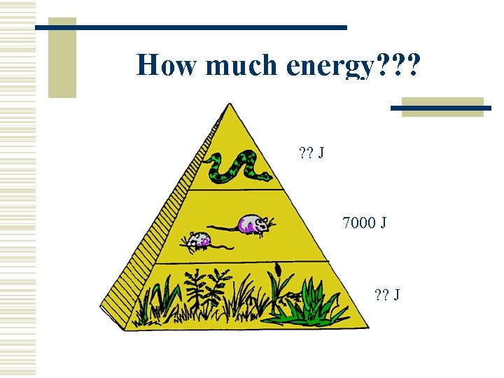 How much energy? ? ? J 7000 J ? ? J 