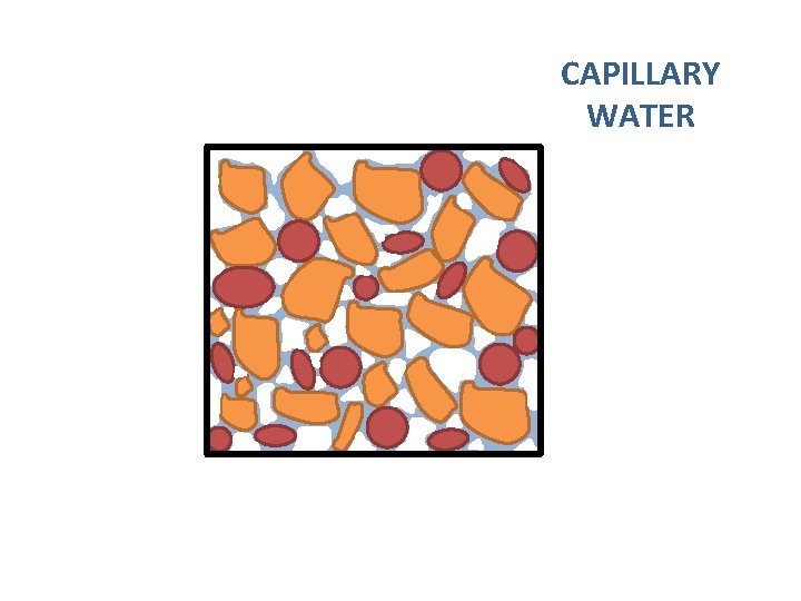 CAPILLARY WATER 