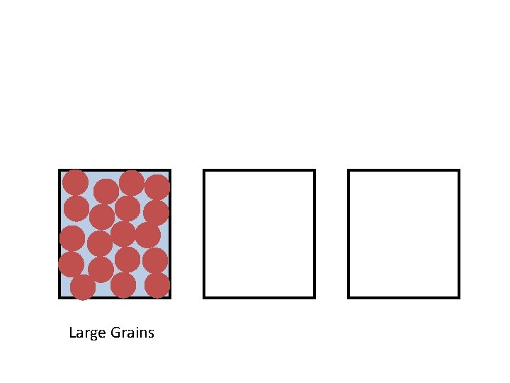 Large Grains 